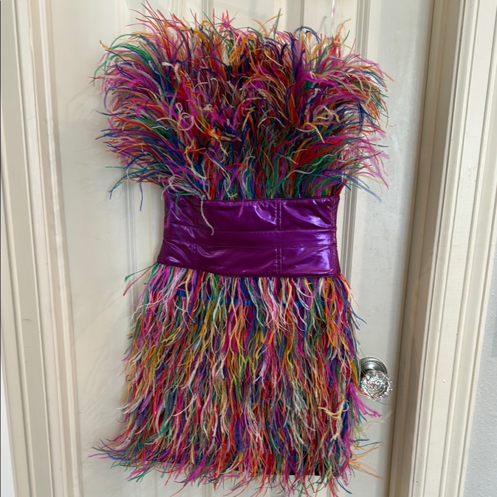 Colorful Feathered Dress with Purple Band - Picture 1 of 6